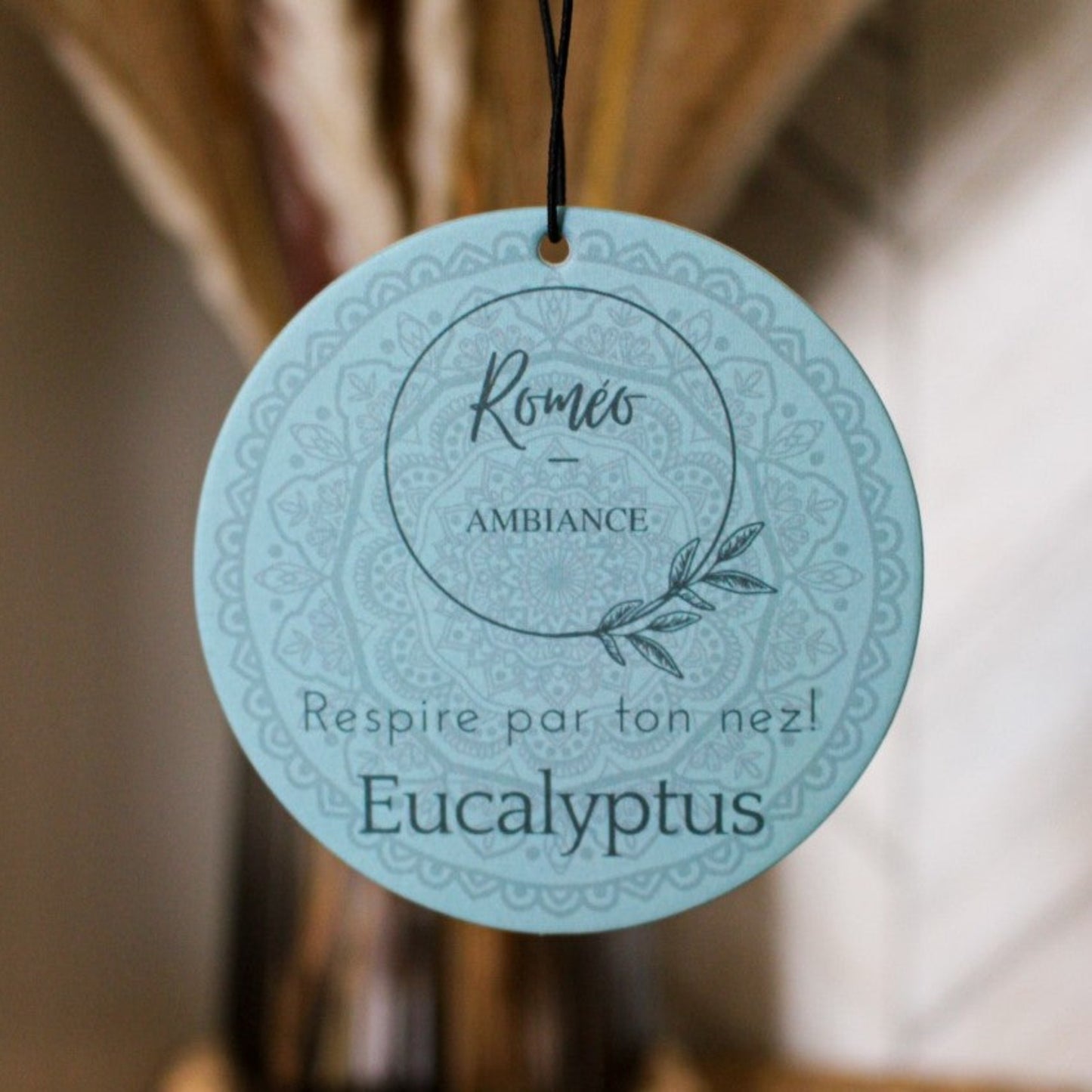 Eucalyptus