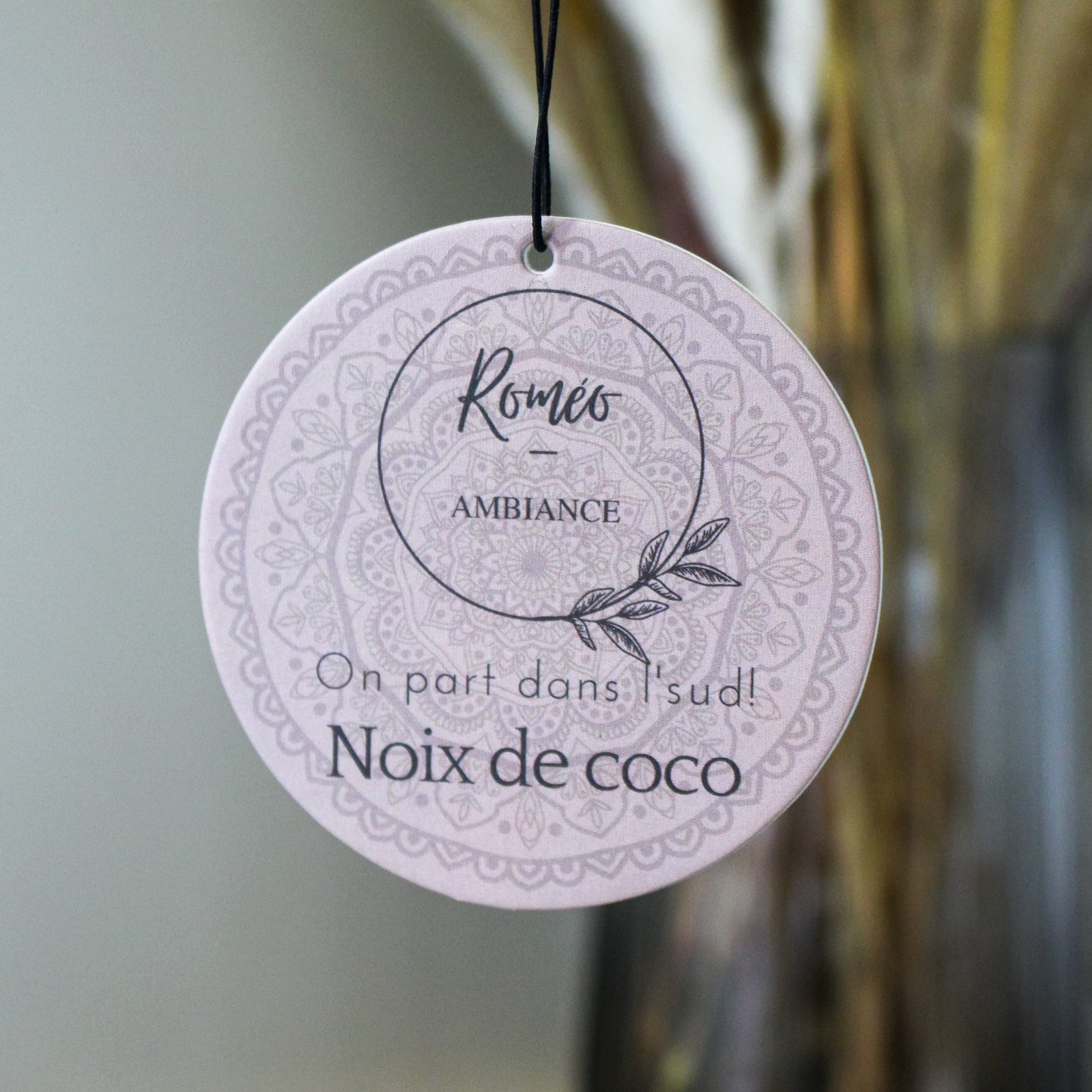 Noix de coco